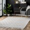 Nuloom Hand Woven Tabatha Tassel Area Rug 4ft x 6ft JLSR02A-406 - alternate 1